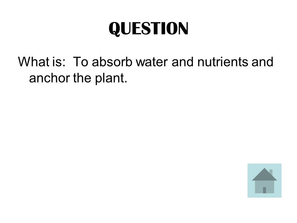 ANSWER This is the function of the roots of a plant.