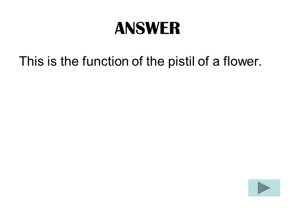 QUESTION What is: To protect the flower.
