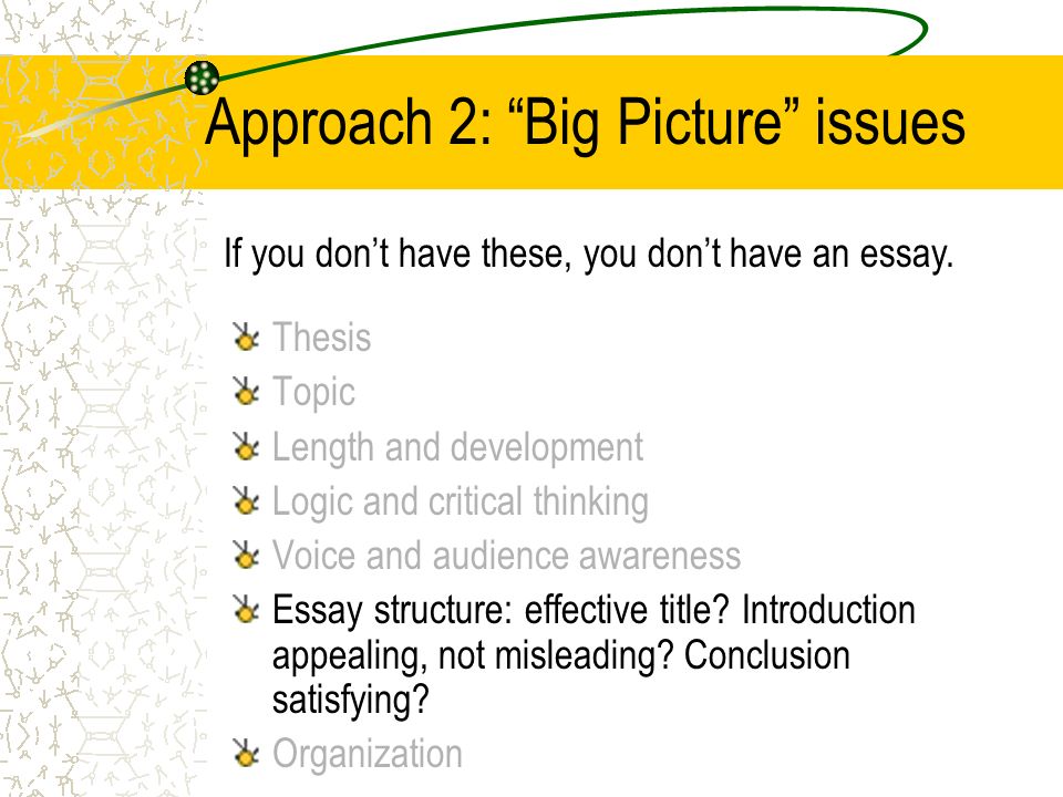 Approach 2: Big Picture issues Thesis Topic Length and development Logic and critical thinking Voice and audience awareness Essay structure: effective title.