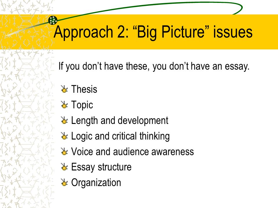 Approach 2: Big Picture issues Thesis Topic Length and development Logic and critical thinking Voice and audience awareness Essay structure Organization If you don’t have these, you don’t have an essay.