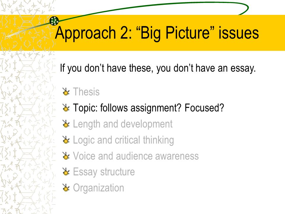 Approach 2: Big Picture issues Thesis Topic: follows assignment.