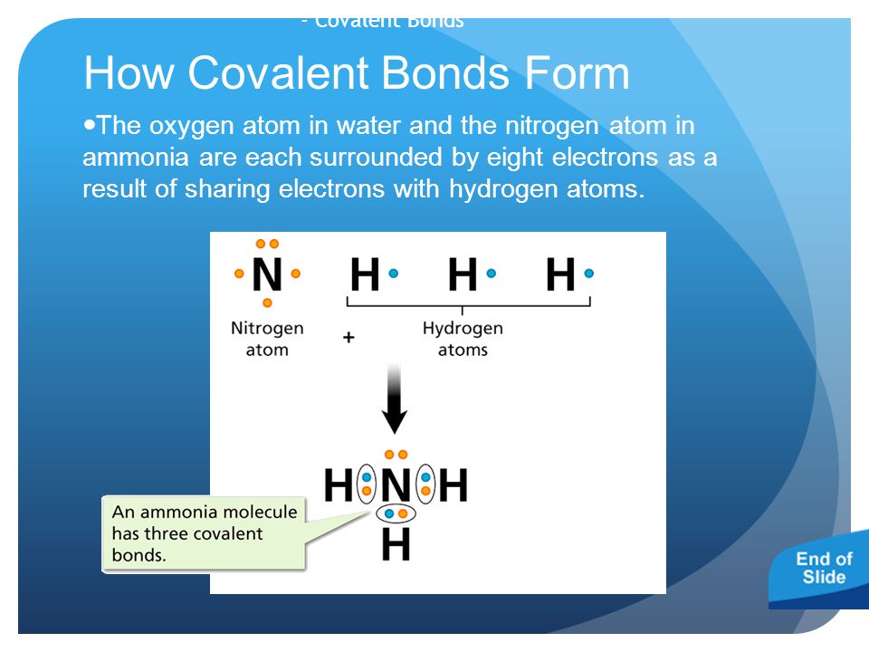 - Covalent Bonds How Covalent Bonds Form The oxygen atom in water and the nitrogen atom in ammonia are each surrounded by eight electrons as a result of sharing electrons with hydrogen atoms.