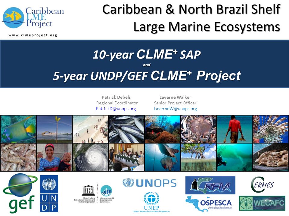Caribbean & North Brazil Shelf Large Marine Ecosystems 10-year CLME + SAP and 5-year UNDP/GEF CLME + Project Patrick DebelsLaverne Walker Regional CoordinatorSenior Project Officer