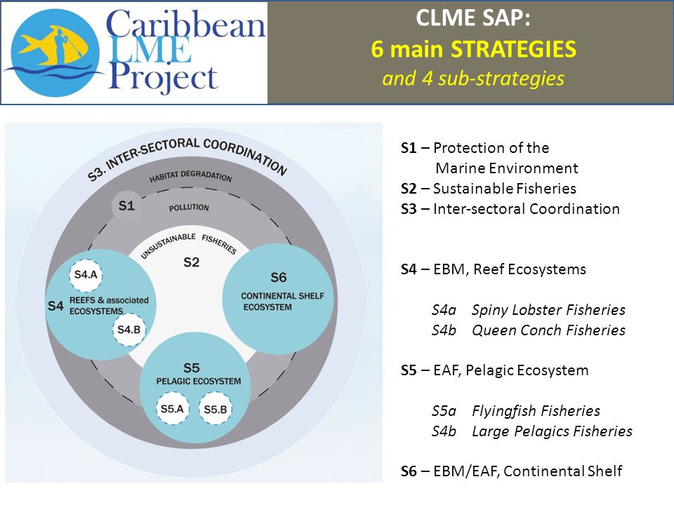 CLME SAP: 6 main STRATEGIES and 4 sub-strategies S1 – Protection of the Marine Environment S2 – Sustainable Fisheries S3 – Inter-sectoral Coordination S4 – EBM, Reef Ecosystems S4a Spiny Lobster Fisheries S4b Queen Conch Fisheries S5 – EAF, Pelagic Ecosystem S5a Flyingfish Fisheries S4b Large Pelagics Fisheries S6 – EBM/EAF, Continental Shelf