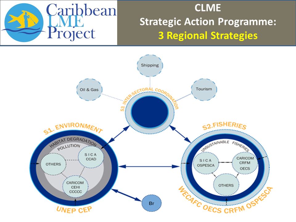 CLME Strategic Action Programme: 3 Regional Strategies