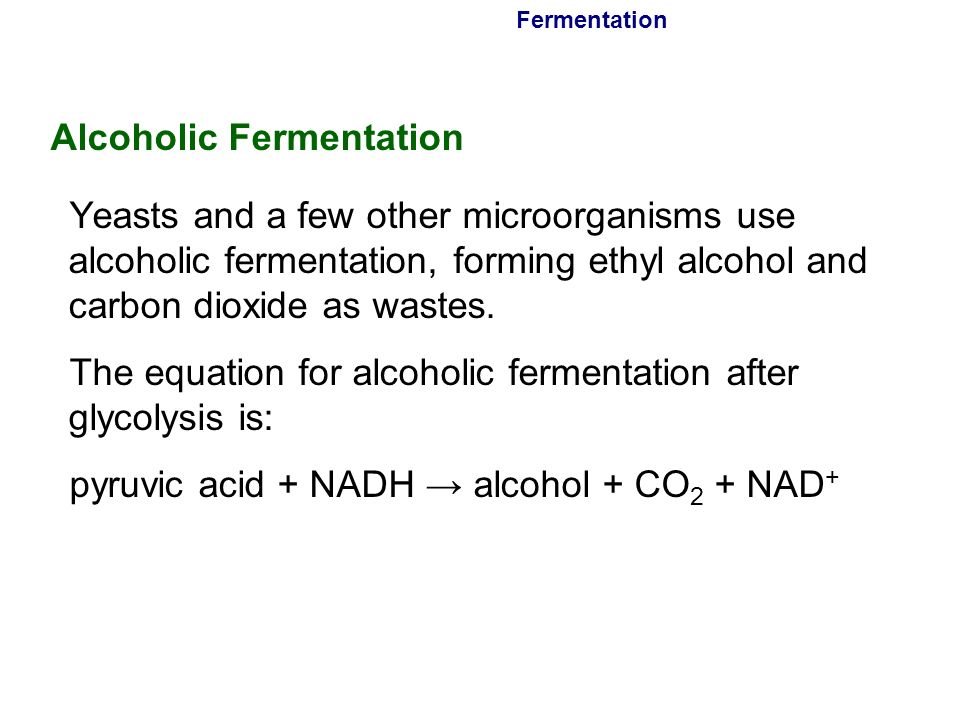 Equation For Alcoholic Fermentation Talkchannels 26 Fermentation Alcoholic 9 1 Chemical Pathways Food Serves As A Source Of Raw Materials