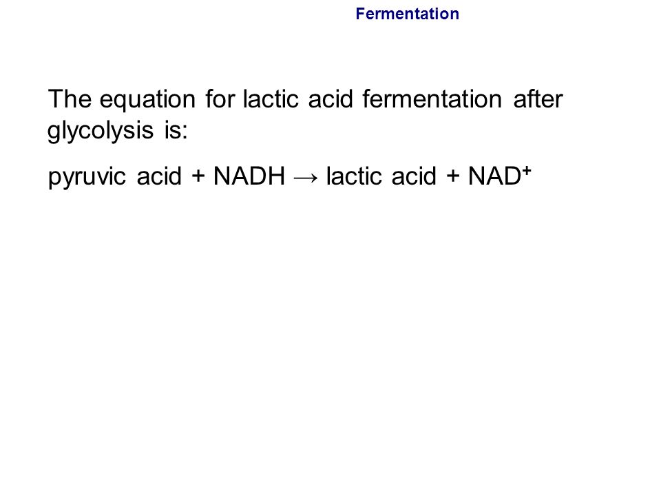 What is the equation for lactic acid fermentation after glycolysis?