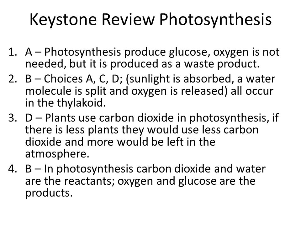 Keystone Review Photosynthesis 1.A – Photosynthesis produce glucose, oxygen is not needed, but it is produced as a waste product.