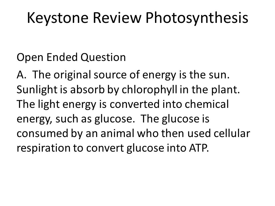 Keystone Review Photosynthesis Open Ended Question A.