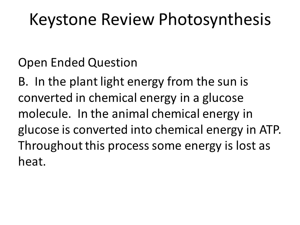 Keystone Review Photosynthesis Open Ended Question B.