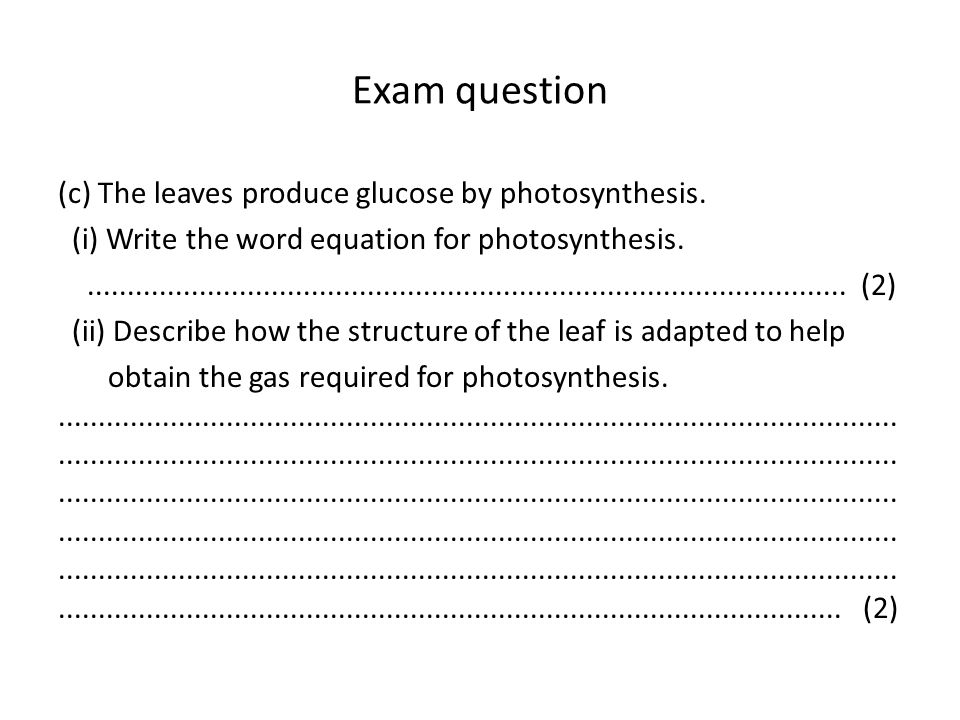 Write The Equation For Photosynthesis I Write The Word Equation For Photosynthesis 2 Ii Describe How Structure Of Leaf