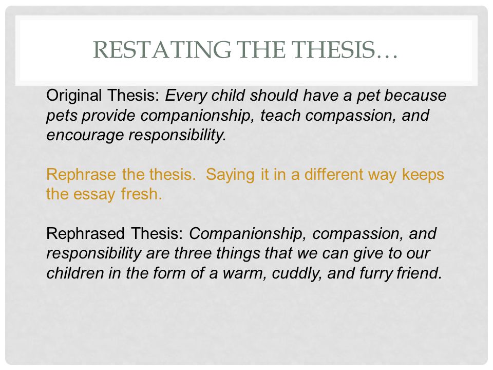 Essay On Compassion