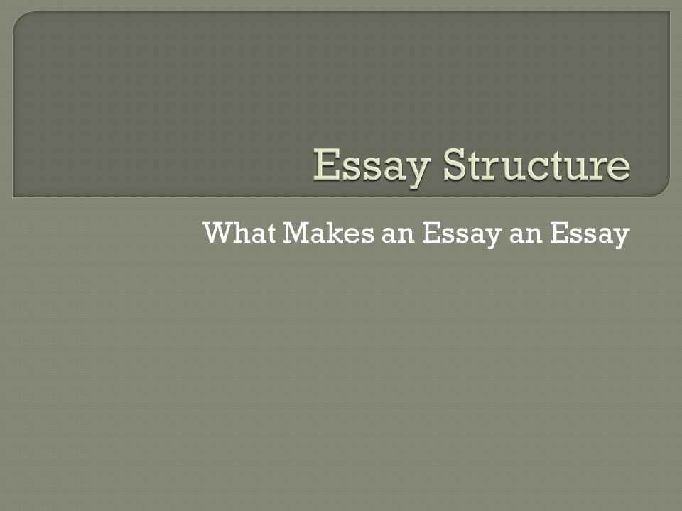 What Makes an Essay an Essay