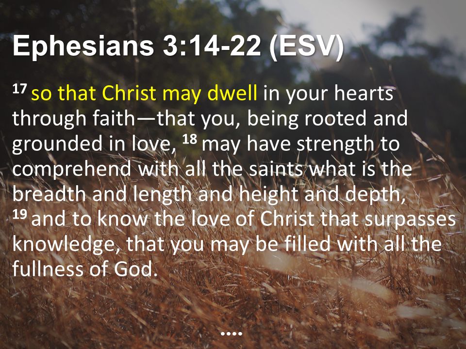 Ephesians 3:14-22 (ESV) 17 so that Christ may dwell in your hearts through faith—that you, being rooted and grounded in love, 18 may have strength to comprehend with all the saints what is the breadth and length and height and depth, 19 and to know the love of Christ that surpasses knowledge, that you may be filled with all the fullness of God.