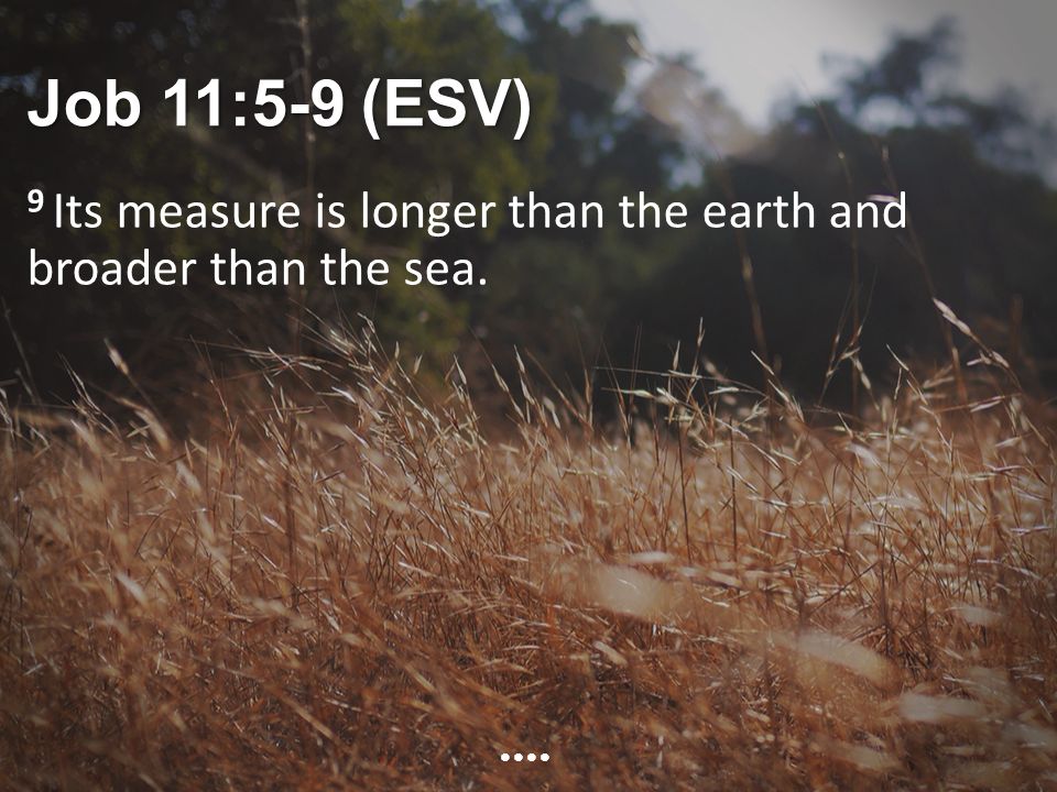 Job 11:5-9 (ESV) 9 Its measure is longer than the earth and broader than the sea.