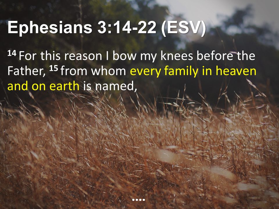 Ephesians 3:14-22 (ESV) 14 For this reason I bow my knees before the Father, 15 from whom every family in heaven and on earth is named,