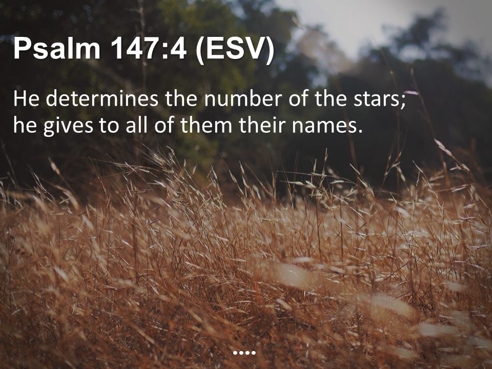 Psalm 147:4 (ESV) He determines the number of the stars; he gives to all of them their names.