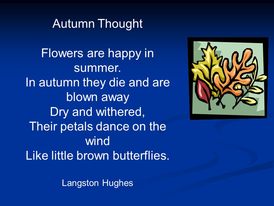 Autumn Thought Flowers are happy in summer.