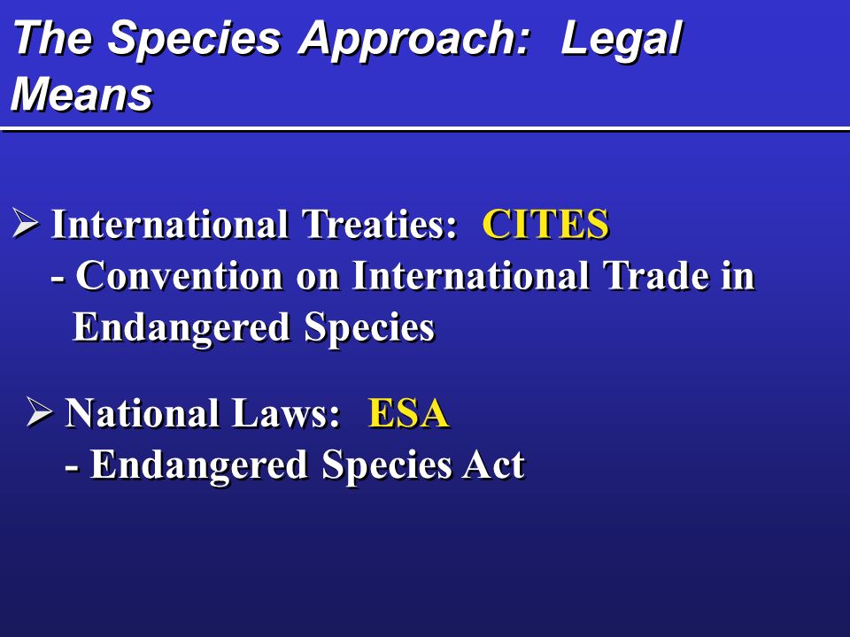 The Species Approach: Legal Means  International Treaties: CITES - Convention on International Trade in Endangered Species  International Treaties: CITES - Convention on International Trade in Endangered Species  National Laws:ESA - Endangered Species Act