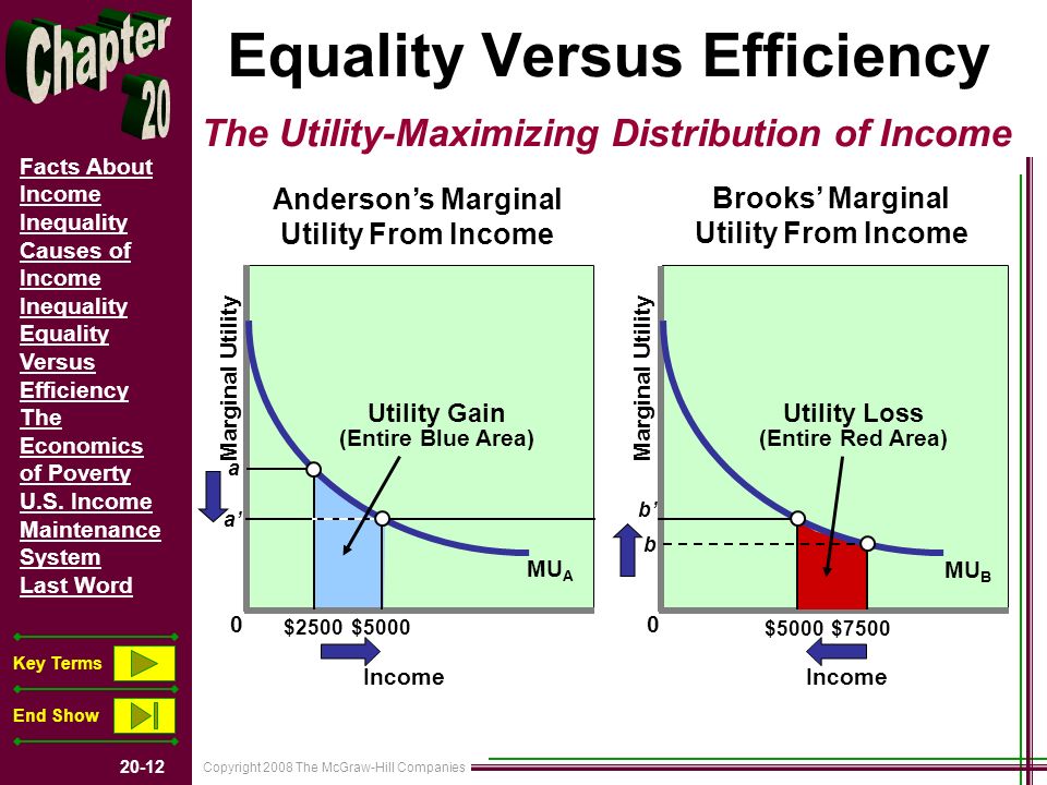 Copyright 2008 The McGraw-Hill Companies Facts About Income Inequality Causes of Income Inequality Equality Versus Efficiency The Economics of Poverty U.S.