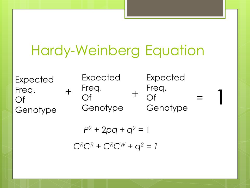 23 2 Hardy Weinberg Equation Can Be To Test Whether A 2 Hardy Weinberg