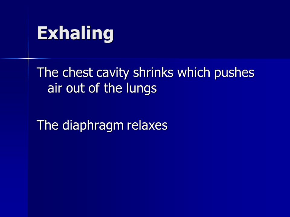 Exhaling The chest cavity shrinks which pushes air out of the lungs The diaphragm relaxes