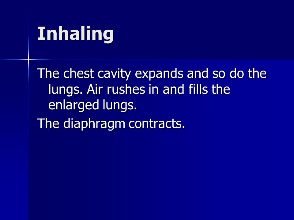 Inhaling The chest cavity expands and so do the lungs.