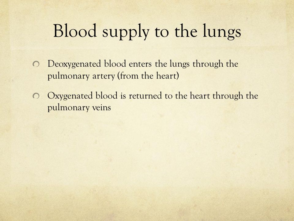 Blood supply to the lungs Deoxygenated blood enters the lungs through the pulmonary artery (from the heart) Oxygenated blood is returned to the heart through the pulmonary veins