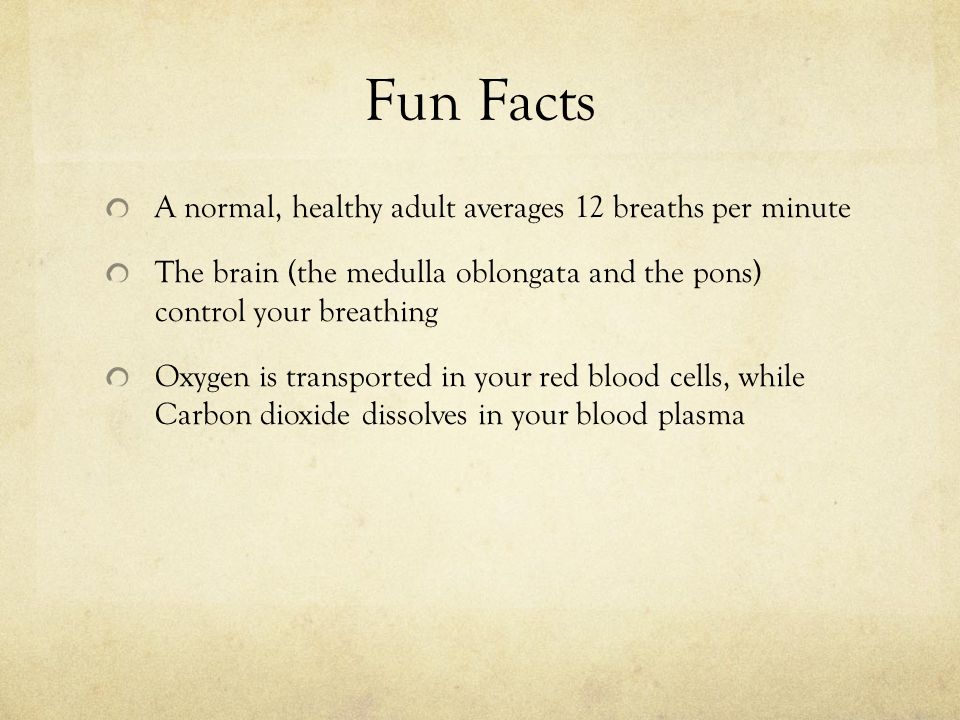 Fun Facts A normal, healthy adult averages 12 breaths per minute The brain (the medulla oblongata and the pons) control your breathing Oxygen is transported in your red blood cells, while Carbon dioxide dissolves in your blood plasma