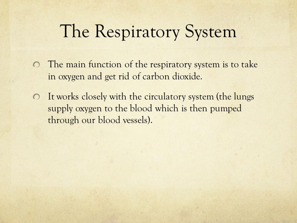 The main function of the respiratory system is to take in oxygen and get rid of carbon dioxide.