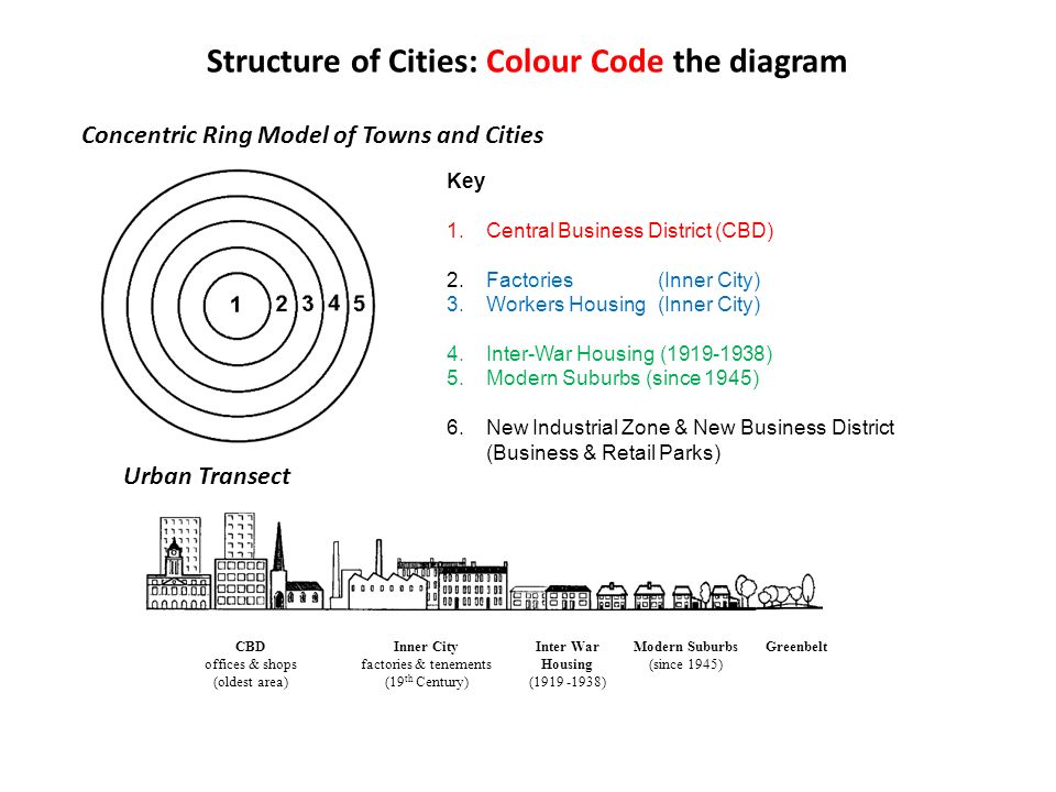 Structure of Cities: Colour Code the diagram Concentric Ring Model of Towns and Cities Key 1.Central Business District (CBD) 2.