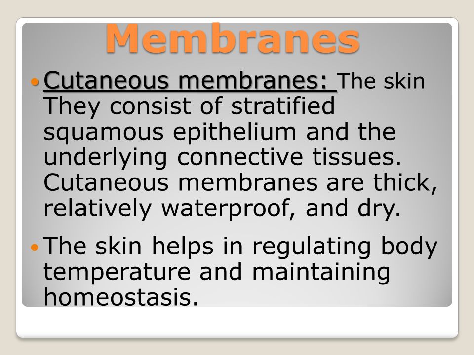 Cutaneous membranes: Cutaneous membranes: The skin They consist of stratified squamous epithelium and the underlying connective tissues.