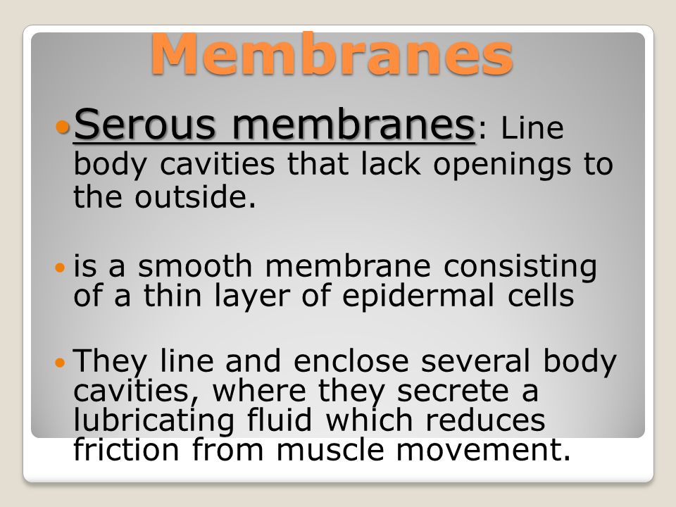 Membranes Serous membranes Serous membranes : Line body cavities that lack openings to the outside.