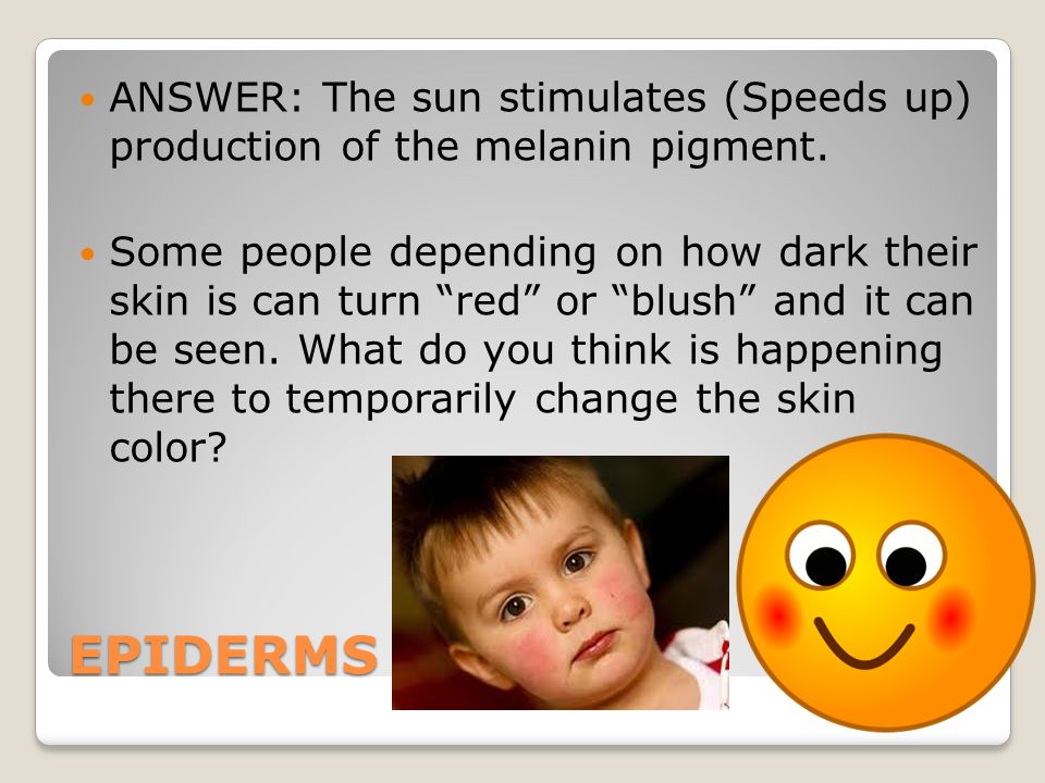 EPIDERMS ANSWER: The sun stimulates (Speeds up) production of the melanin pigment.