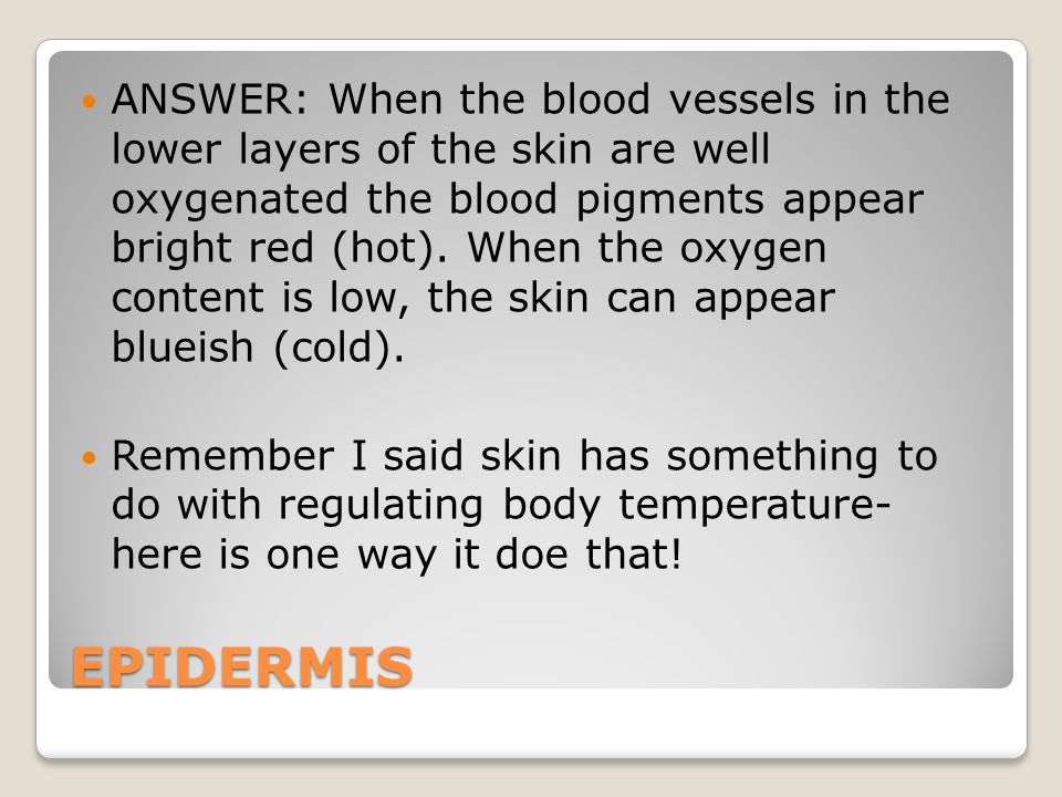 EPIDERMIS ANSWER: When the blood vessels in the lower layers of the skin are well oxygenated the blood pigments appear bright red (hot).