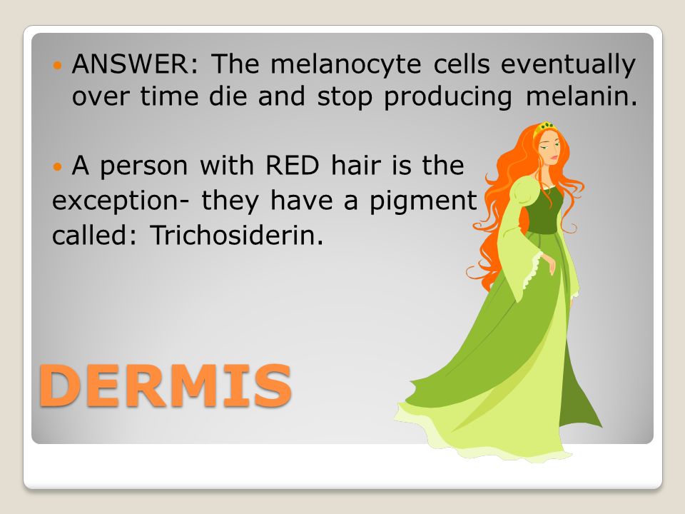 DERMIS ANSWER: The melanocyte cells eventually over time die and stop producing melanin.