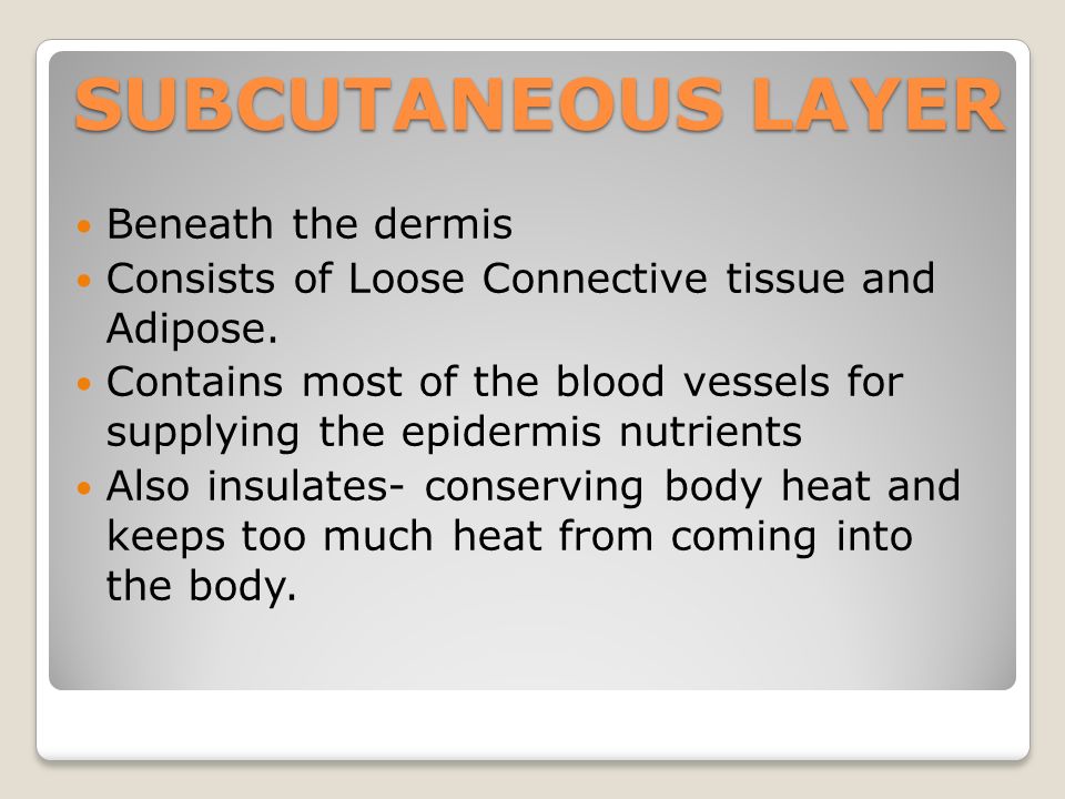 SUBCUTANEOUS LAYER Beneath the dermis Consists of Loose Connective tissue and Adipose.
