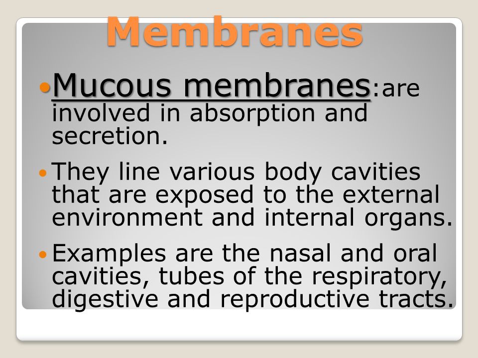 Membranes Mucous membranes Mucous membranes :are involved in absorption and secretion.