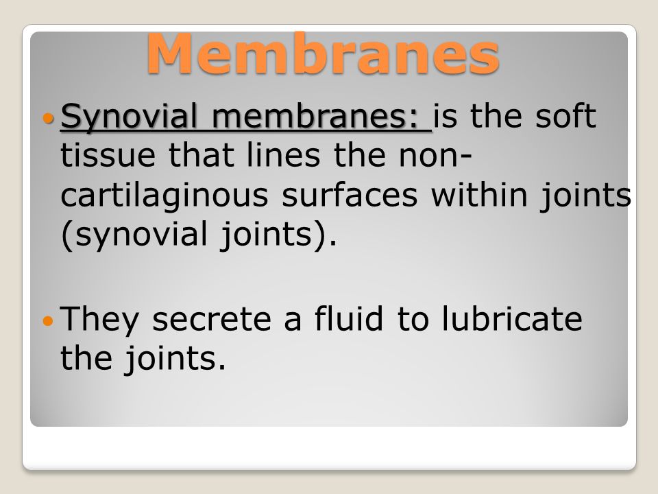 Synovial membranes: Synovial membranes: is the soft tissue that lines the non- cartilaginous surfaces within joints (synovial joints).
