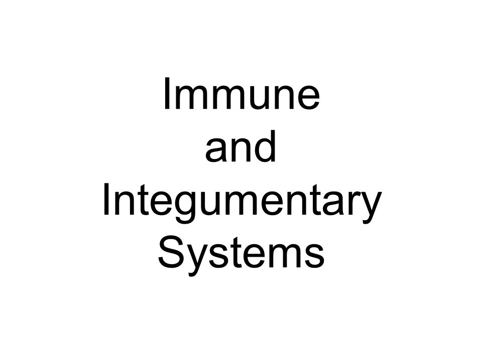 Immune and Integumentary Systems