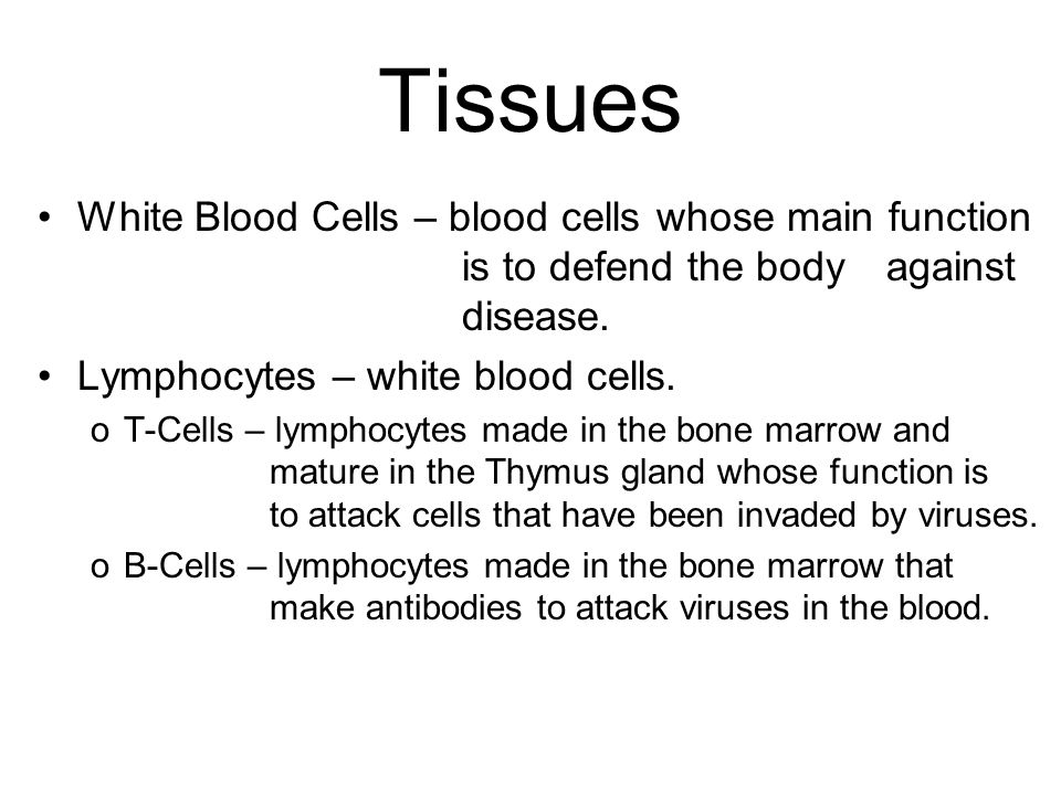 Tissues White Blood Cells – blood cells whose main function is to defend the body against disease.