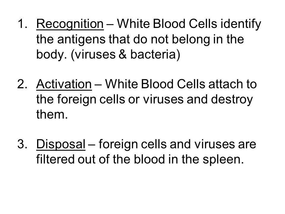 1.Recognition – White Blood Cells identify the antigens that do not belong in the body.
