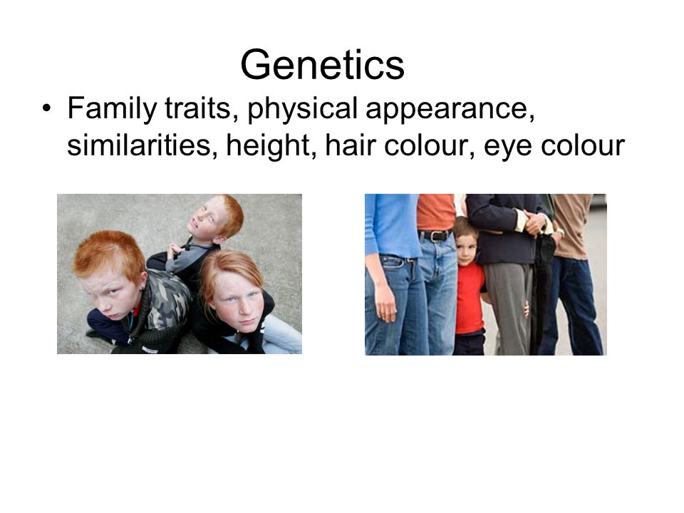 Genetics Family traits, physical appearance, similarities, height, hair colour, eye colour