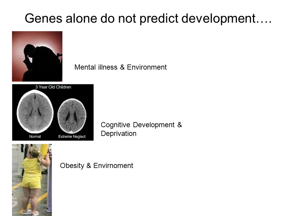 Genes alone do not predict development….