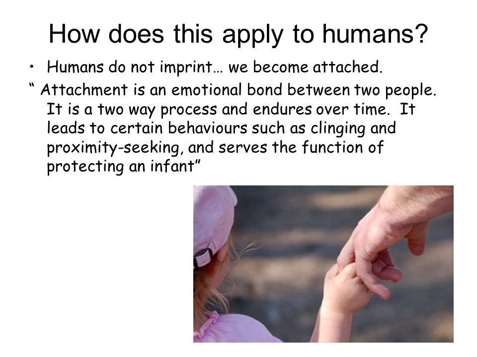 How does this apply to humans. Humans do not imprint… we become attached.