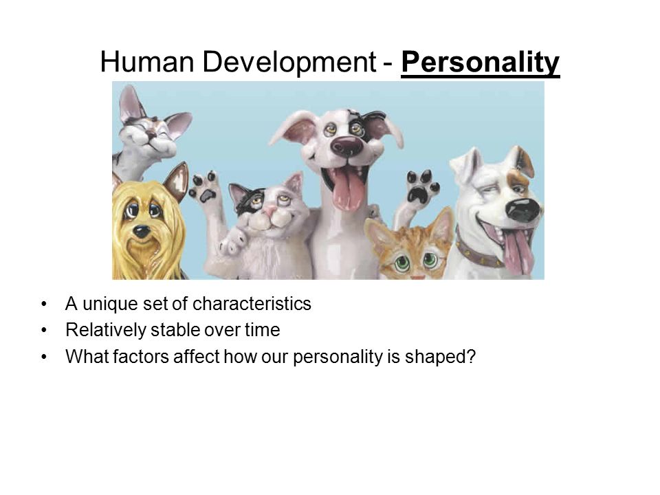 Human Development - Personality A unique set of characteristics Relatively stable over time What factors affect how our personality is shaped