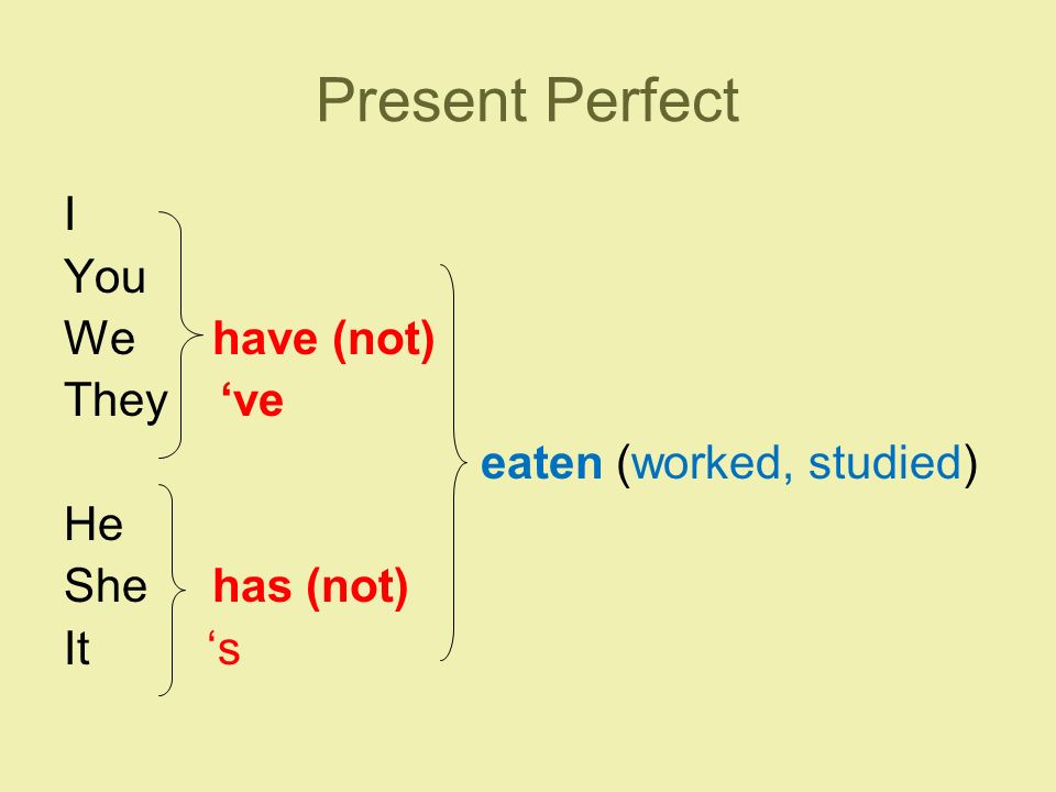 Present Perfect I You We have (not) They ‘ve eaten (worked, studied) He She has (not) It ‘s
