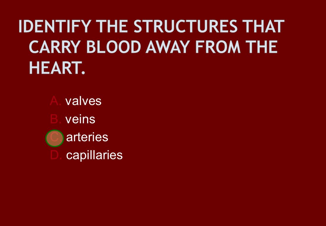 A. valves B. veins C. arteries D. capillaries