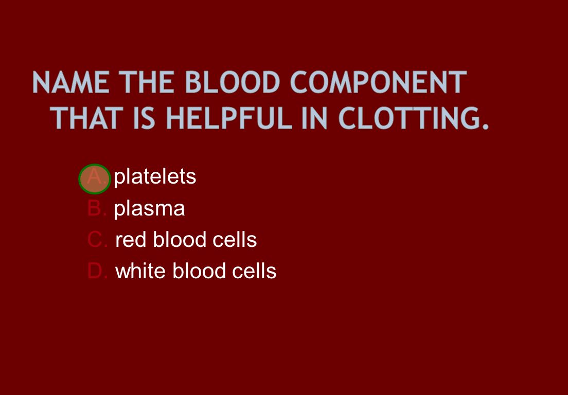 A. platelets B. plasma C. red blood cells D. white blood cells