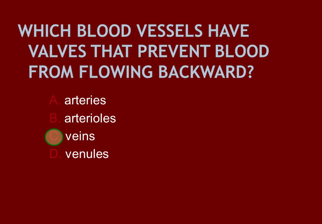 A. arteries B. arterioles C. veins D. venules